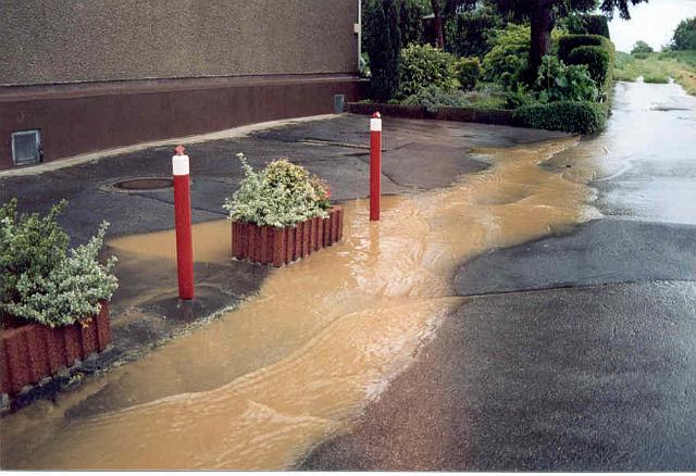 08.06.03 - 6.jpg - Rhönweg (ehemaliger Salinger Weg) im alten Verlauf - Blickrichtung: Süden